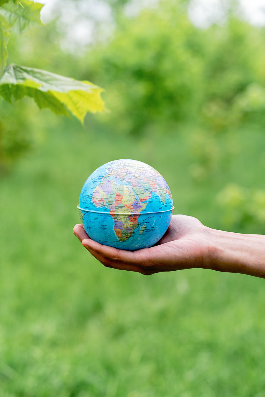 Lowering Carbon Footprint
